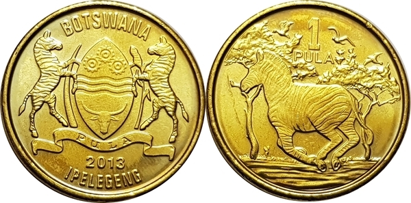 coin image