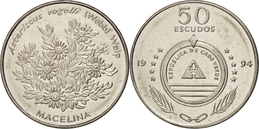 coin image