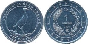 coin image