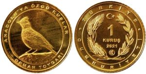 coin image