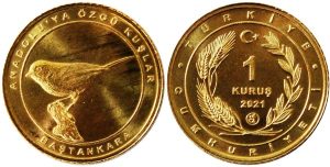 coin image