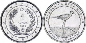 coin image